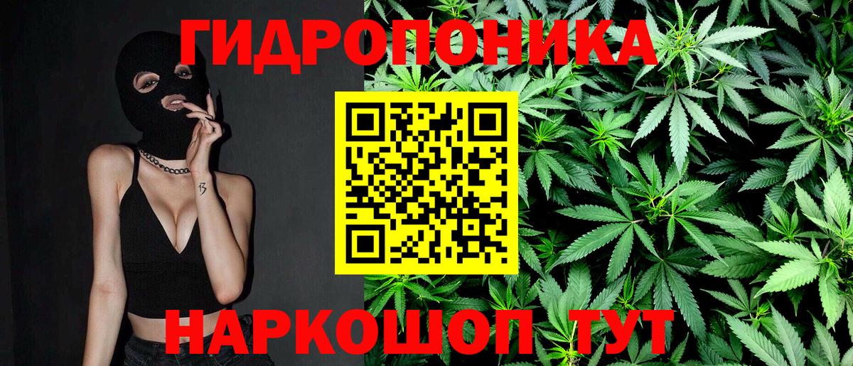Каннабис план Десногорск